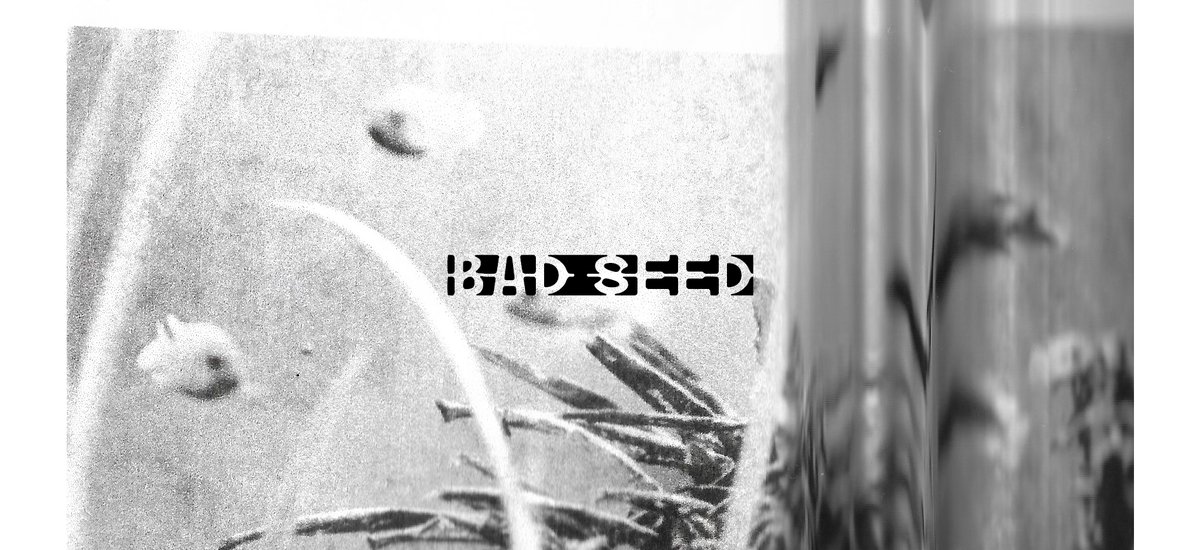 BadSeed